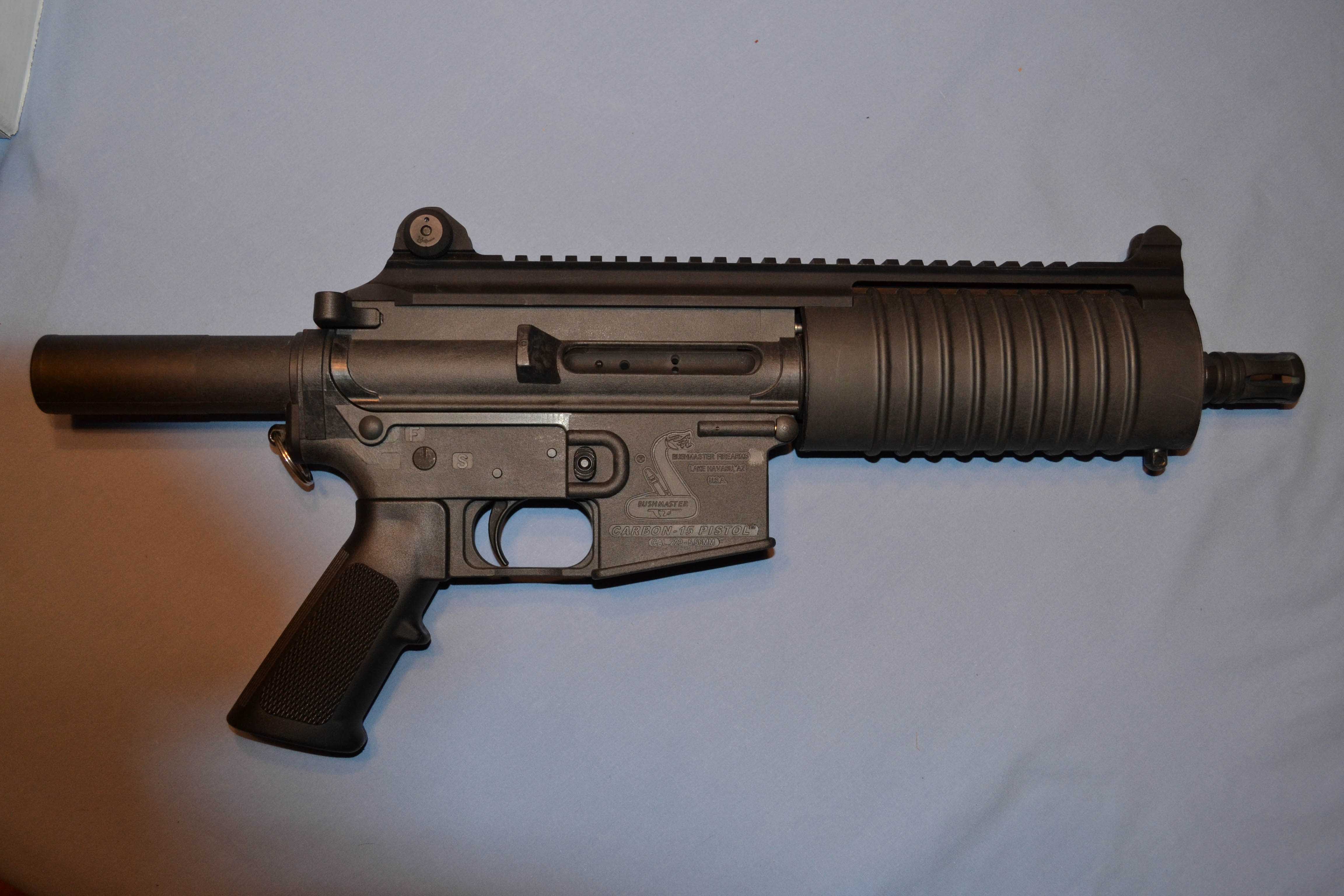 Bushmaster Carbon 15